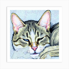 Cat With Blue Eyes Art Print