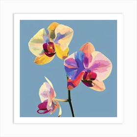 Orchids 11 Art Print