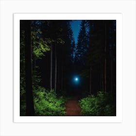 Path Through The Forest At Night Art Print