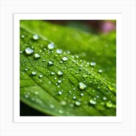 Water Droplets On A Leaf 2 Art Print