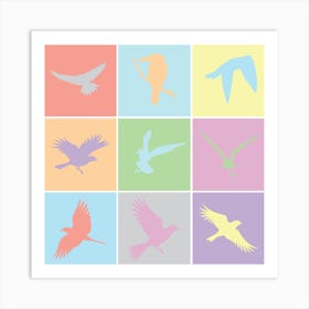 Birds In Flight Art Print