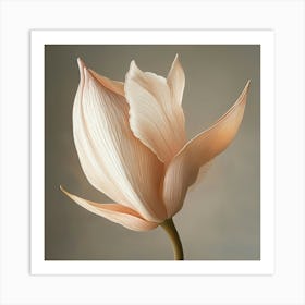 Lotus Flower 1 Art Print