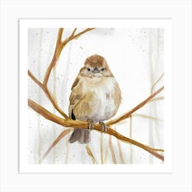 Sparrow Art Print