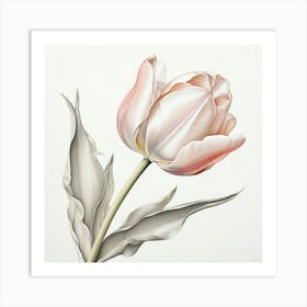 Tulip 1 Art Print