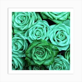 Sea Green Roses Art Print