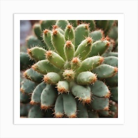 Cactus 1 Art Print