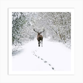 Deer In The Snow 3 Art Print