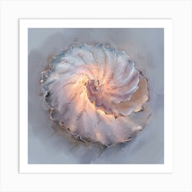 Nautilus Shell Art Print