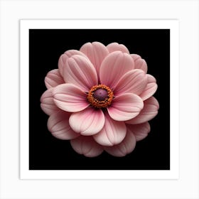 Dahlia Art Print