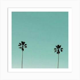 Palm Trees 4 Art Print