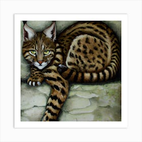 Wild Cat Art Print