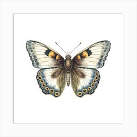 Butterfly 12 Art Print