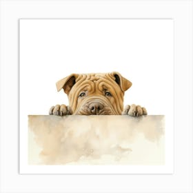 Shar-Pei 1 Art Print