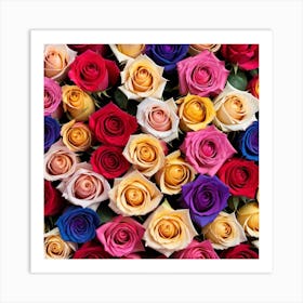 Colorful Roses 23 Art Print