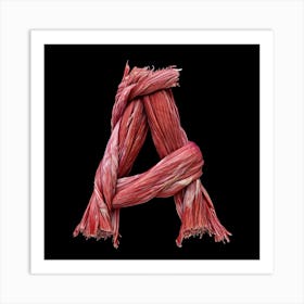 Letter A 14 Art Print