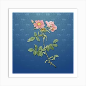 Vintage Lady Monson Rose Bloom Botanical on Bahama Blue Pattern n.0009 Art Print