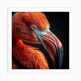 Flamingo Portrait Art Print