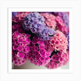 Hydrangeas Art Print