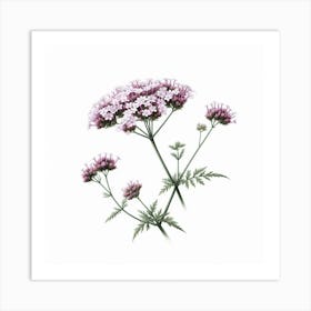 Flower of Verbena 1 Art Print