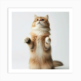 Cat Standing Up Art Print