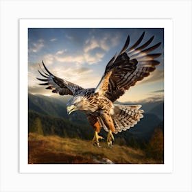 Eagle In Flight 1 Art Print