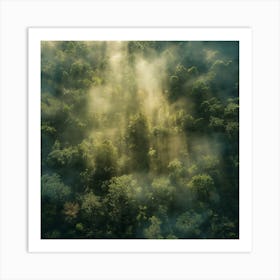 Aerial View Of A Forest Art Print