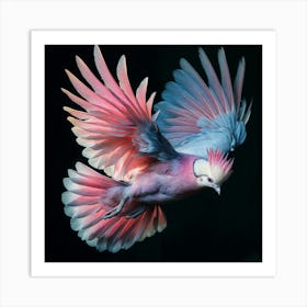 Cockatoo In Flight Art Print