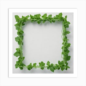 Frame Of Mint Leaves Art Print