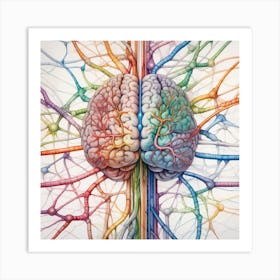 Brain And Nervous System 41 Art Print