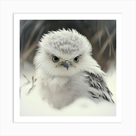 Owl In The Snow Art Print