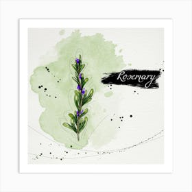 Watercolor Illustration Of Rosemary Art Print