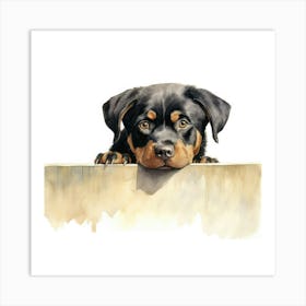 Rottweiler 4 Art Print