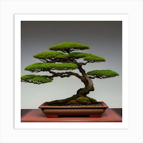 Bonsai Tree Art Print