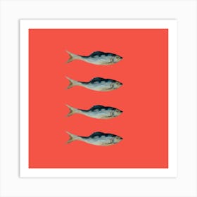 Four Fish Art Print