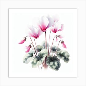 Flowers of Cyclamen 1 Art Print