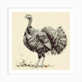 Turkey Art Print