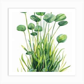 Lily Of The Valley 4 Art Print