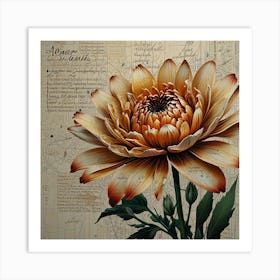 Chrysanthemum 2 Art Print