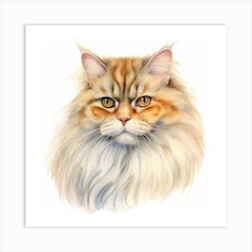 British Longhair Cat Portrait 3 Art Print