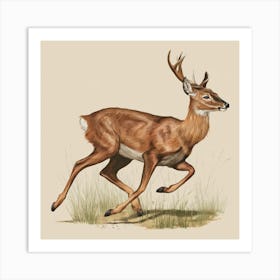 Deer Venison White Tail Deer Antlers Animal Wildlife Game Hunting Nature Art Print