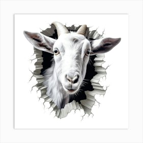 Goat Peeking Through A Hole 1 Art Print