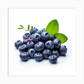 Blueberries Isolated On White Background Art Print