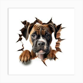 Boxer Dog 1 Art Print