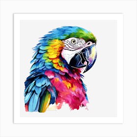 Colorful Parrot 17 Poster