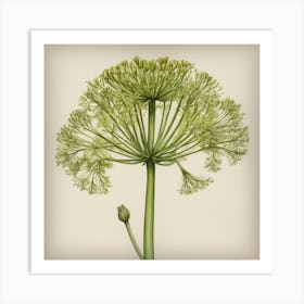 Fennel flower plants painting art print 1 Art Print