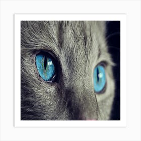 Close Up Of A Cat With Blue Eyes Art Print