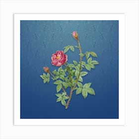 Vintage Moss Rose Botanical on Bahama Blue Pattern n.2016 Art Print