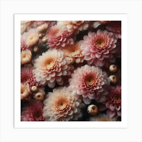 Chrysanthemums flowers 2 Art Print