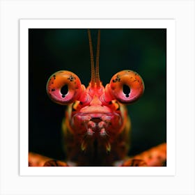 Shrimp With Big Eyes Art Print