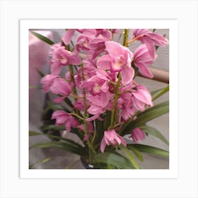 Pink Orchids 3 Art Print